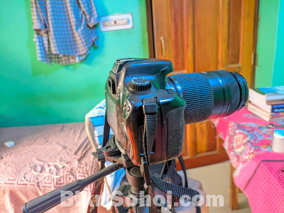 Canon 4000d